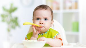 alimentation tout-petits professionnels
