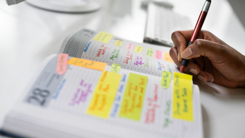 planning activités CAP AEPE