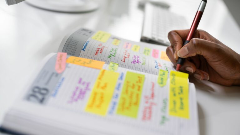 planning activités CAP AEPE